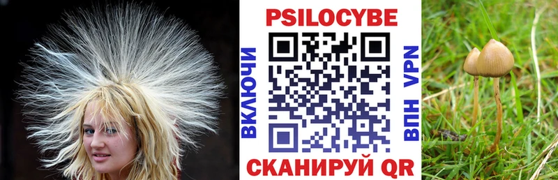 Псилоцибиновые грибы MAGIC MUSHROOMS Благодарный