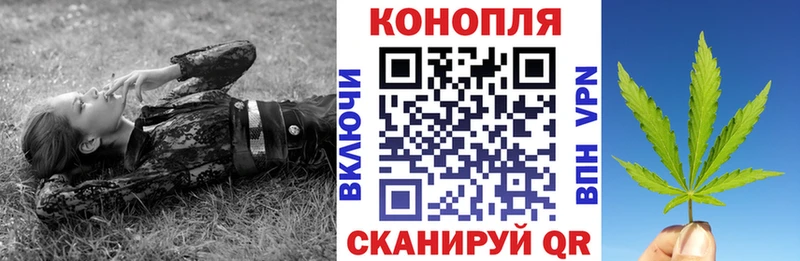 купить Благодарный Канабис гибрид